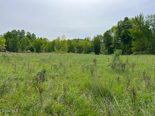 L9 Harrington Road Gilboa, NY 12076 - Photo 14 of 27 IMG_5392