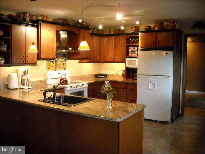 18 Alton Road Newark, DE 19711 - Photo 3 of 25 Kitchen
