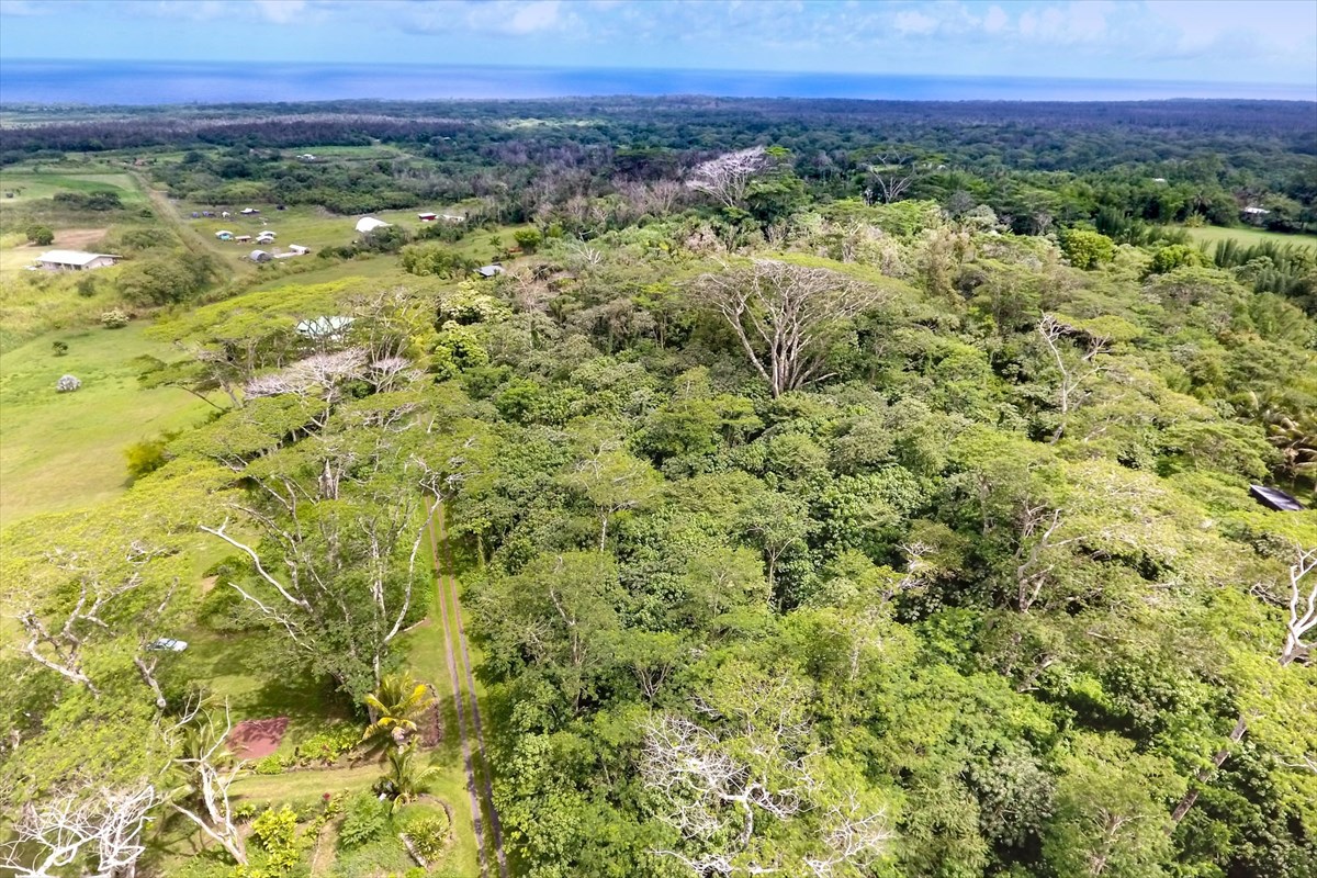 5 Pohoiki Road Pahoa, HI 96778 - Photo 1 of 19 Gallery Image 1