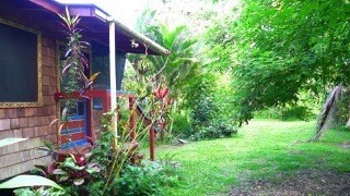 5 Pohoiki Road Pahoa, HI 96778 - Photo 16 of 19 Gallery Image 16
