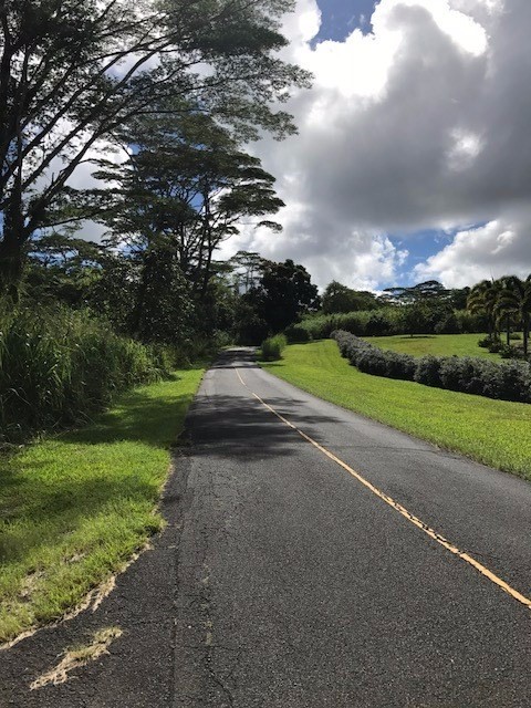 5 Pohoiki Road Pahoa, HI 96778 - Photo 17 of 19 Gallery Image 17