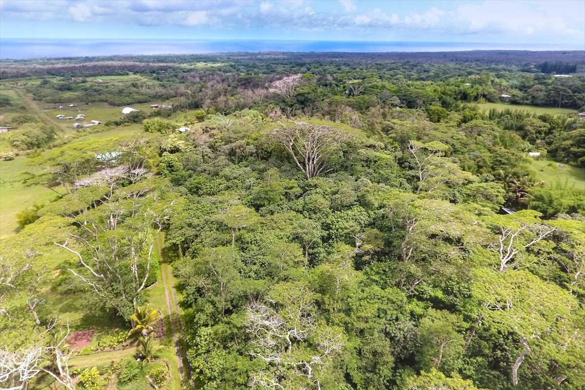 5 Pohoiki Road Pahoa, HI 96778 - Photo 18 of 19 Gallery Image 18