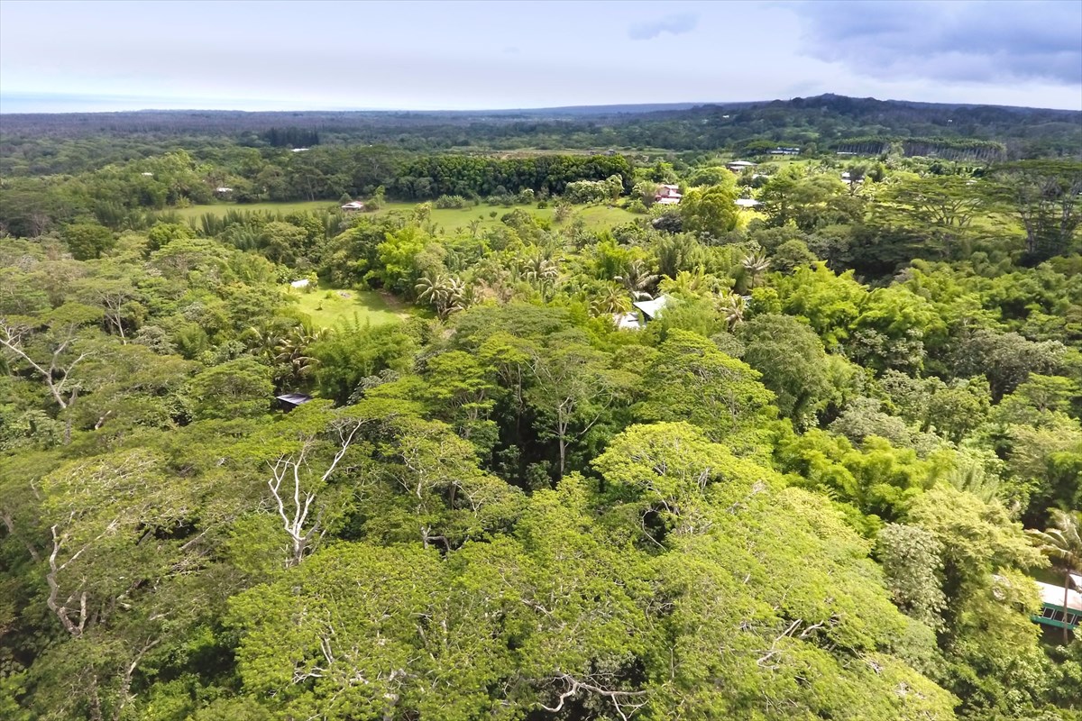 5 Pohoiki Road Pahoa, HI 96778 - Photo 19 of 19 Gallery Image 19