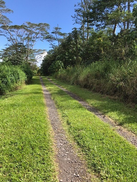 5 Pohoiki Road Pahoa, HI 96778 - Photo 2 of 19 Gallery Image 2