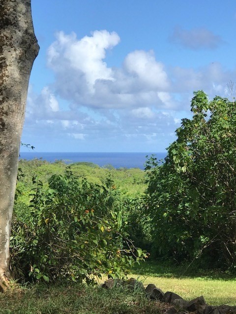5 Pohoiki Road Pahoa, HI 96778 - Photo 3 of 19 Gallery Image 3