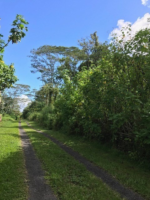 5 Pohoiki Road Pahoa, HI 96778 - Photo 5 of 19 Gallery Image 5