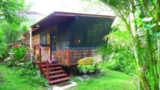 5 Pohoiki Road Pahoa, HI 96778 - Photo 6 of 19 Gallery Image 6