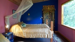 5 Pohoiki Road Pahoa, HI 96778 - Photo 7 of 19 Gallery Image 7