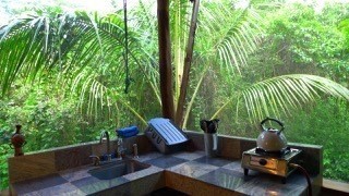 5 Pohoiki Road Pahoa, HI 96778 - Photo 8 of 19 Gallery Image 8