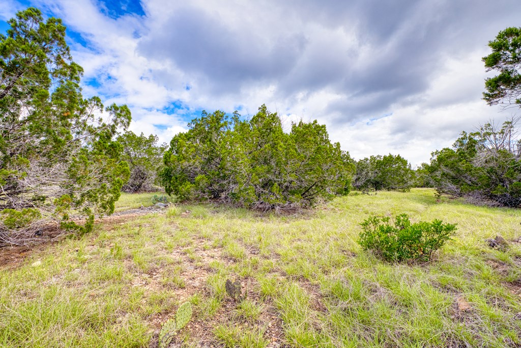1702 Pinon Loop East Camp Wood, TX 78833 - Photo 9 of 19