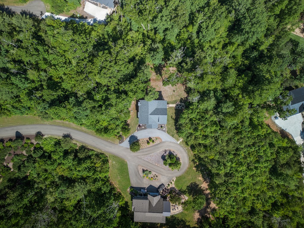 141 Long View Lane Blue Ridge, GA 30513 - Photo 39 of 44