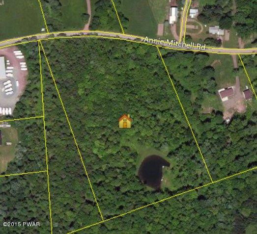50 Ann Mitchell Road Equinunk, PA 18417 - Photo 4 of 5
