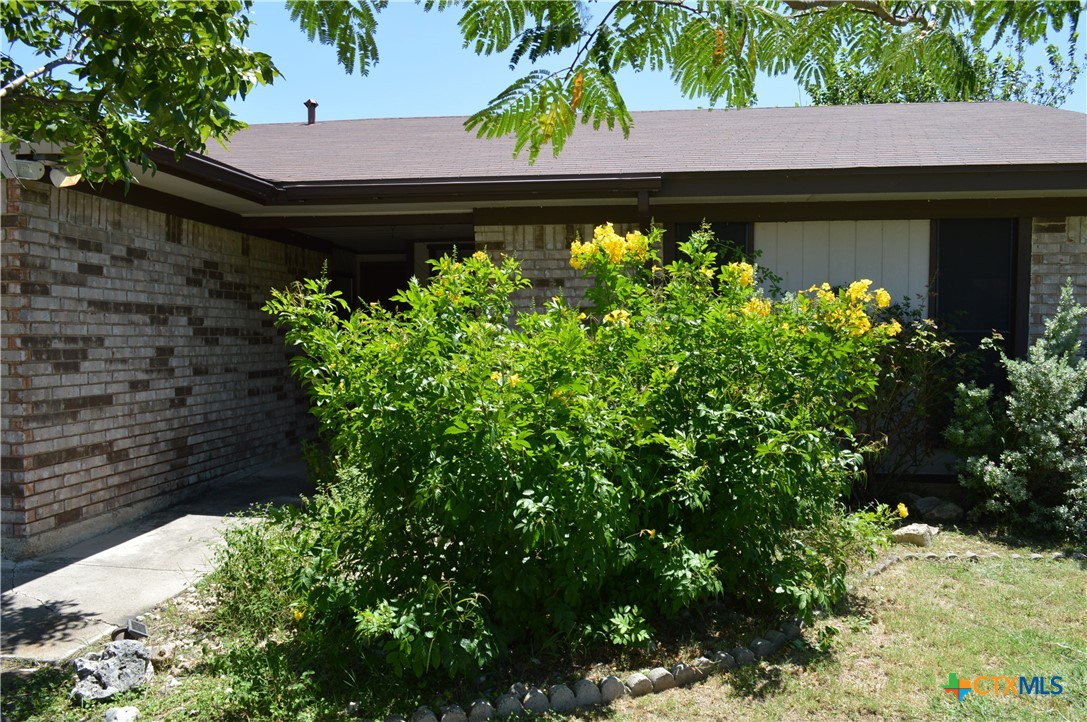 1404 Rob Lane Copperas Cove, TX 76522 - Photo 31 of 31 a backyard of a house with lots of green space