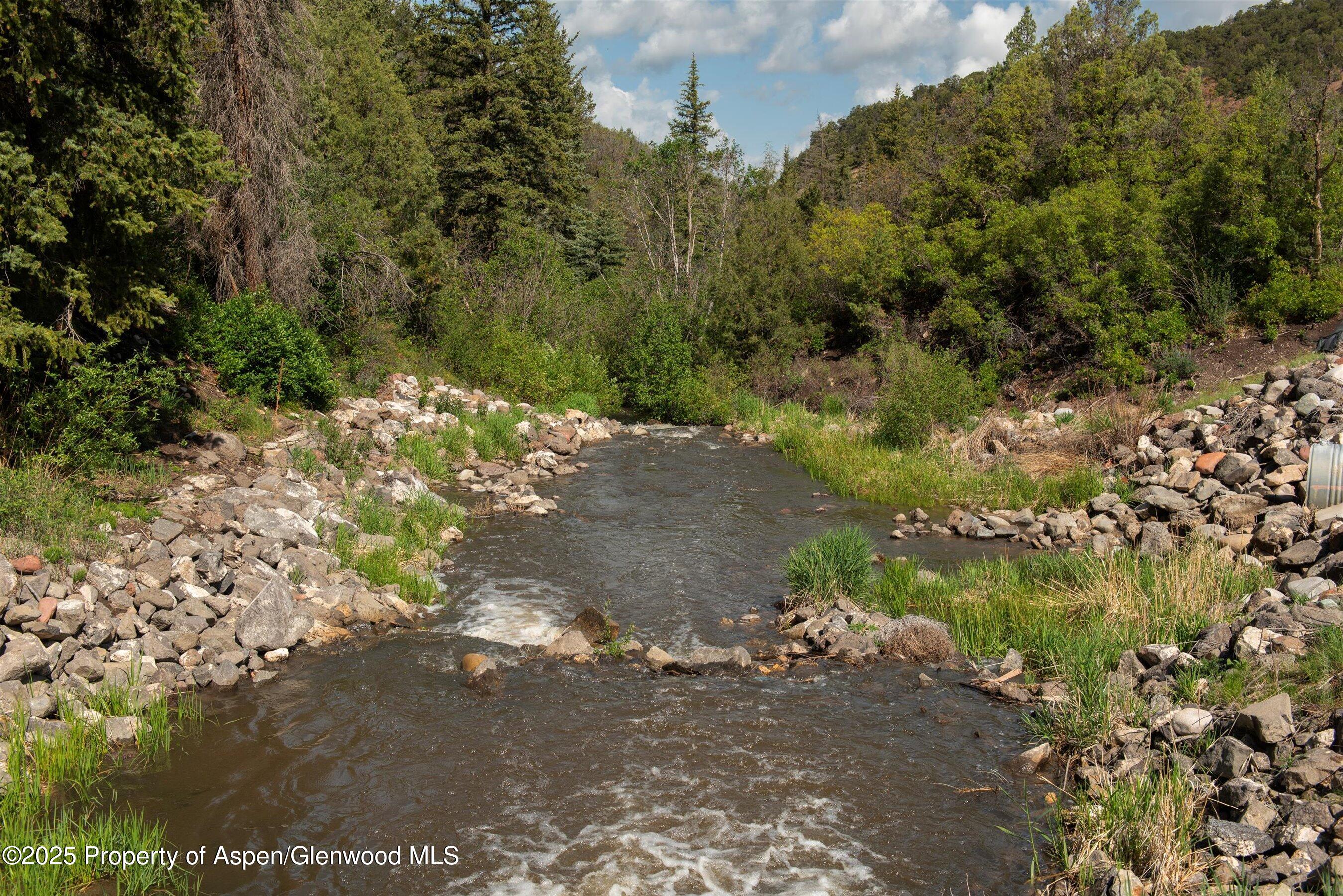 3691 East Sopris Creek Road Basalt, CO 81621 - Photo 15 of 21 a view of a yard with a tree