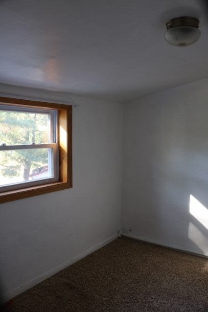 7681 North Cedar Lake Road Edmore, MI 48829 - Photo 15 of 39 1839811-14.JPG