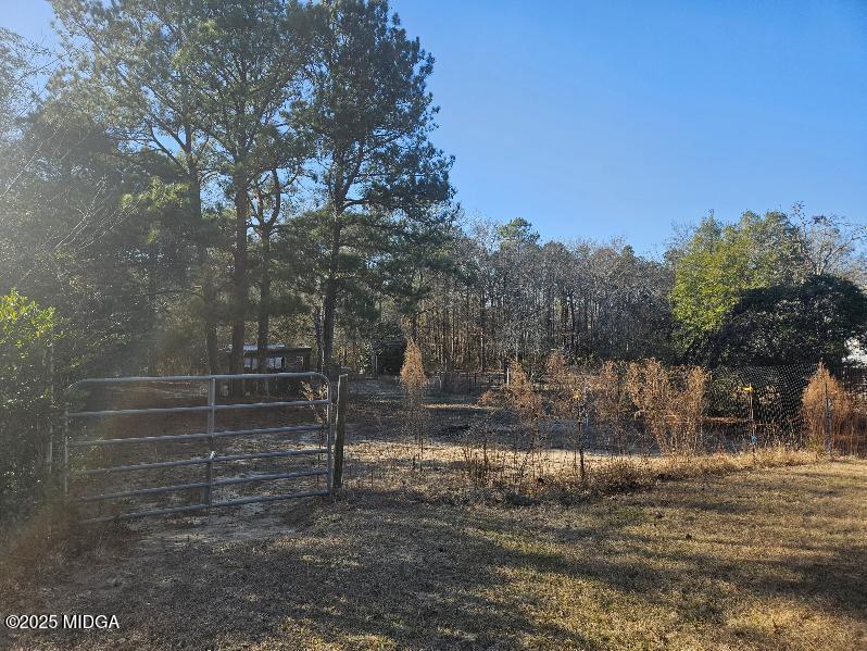 163 Spring Valley Drive Byron, GA 31008 - Photo 56 of 62 a view of backyard with green space