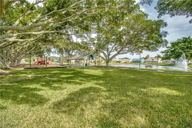 a view of a park with large trees