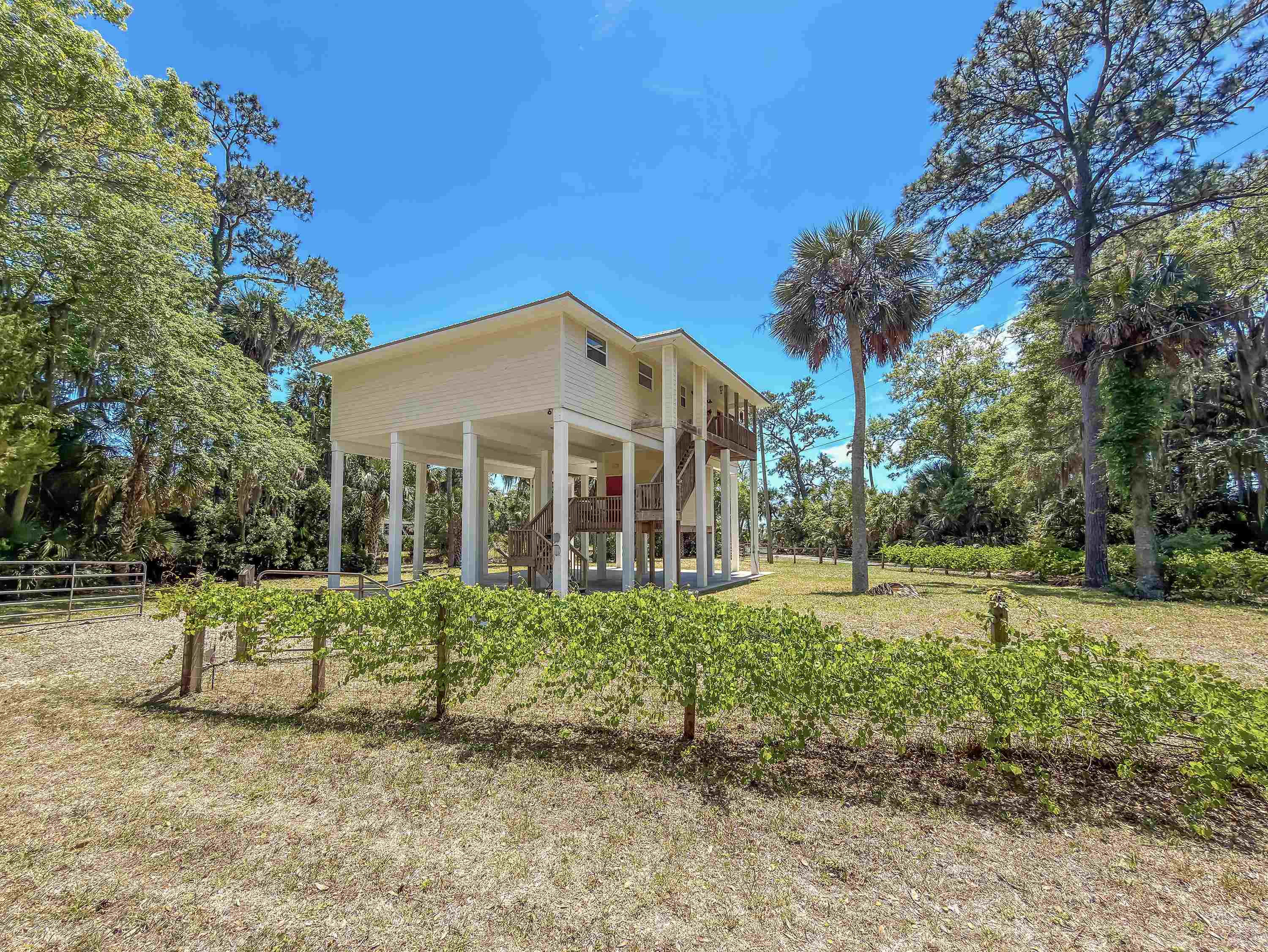 142 Stuart Cove Road Crawfordville, FL 32327 - Photo 55 of 57