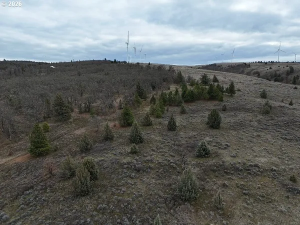 $55,000 | 167 Columbia Hills Lane, Unit LOT 44, Goldendale, WA 98620