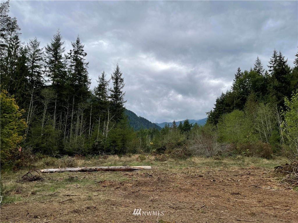999-nka Cougar Run Road Quilcene, WA 98376 - Photo 2 of 3 Gallery Image 2