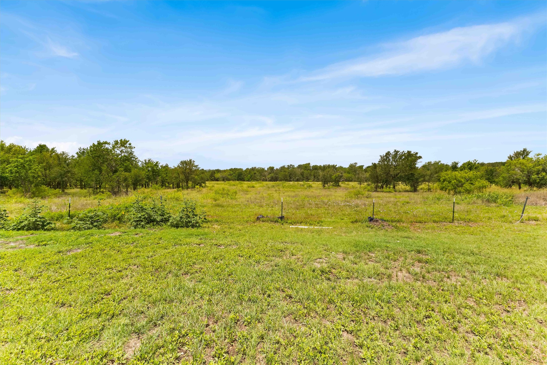 12212 Ballerstedt Road Elgin, TX 78621 - Photo 32 of 39 a view of an ocean from a yard