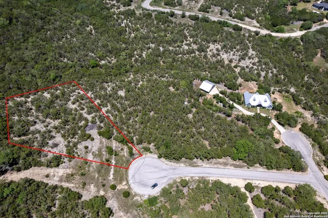 a view of a tree with a yard