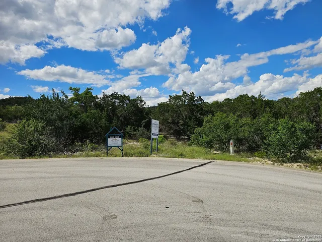 a view of a bunch of trees