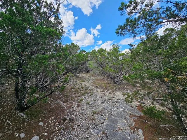 a view of an outdoor space and a yard