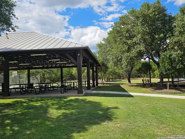 a view of a park with a large tree