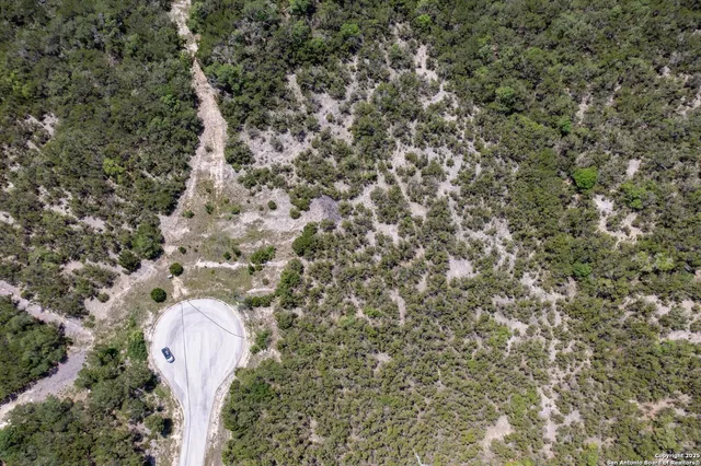 a close up of a plant in a garden