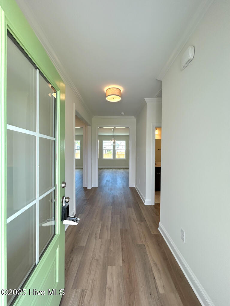 504 Yellow Birch Way Hubert, NC 28539 - Photo 16 of 81 IMG-9917-jpg