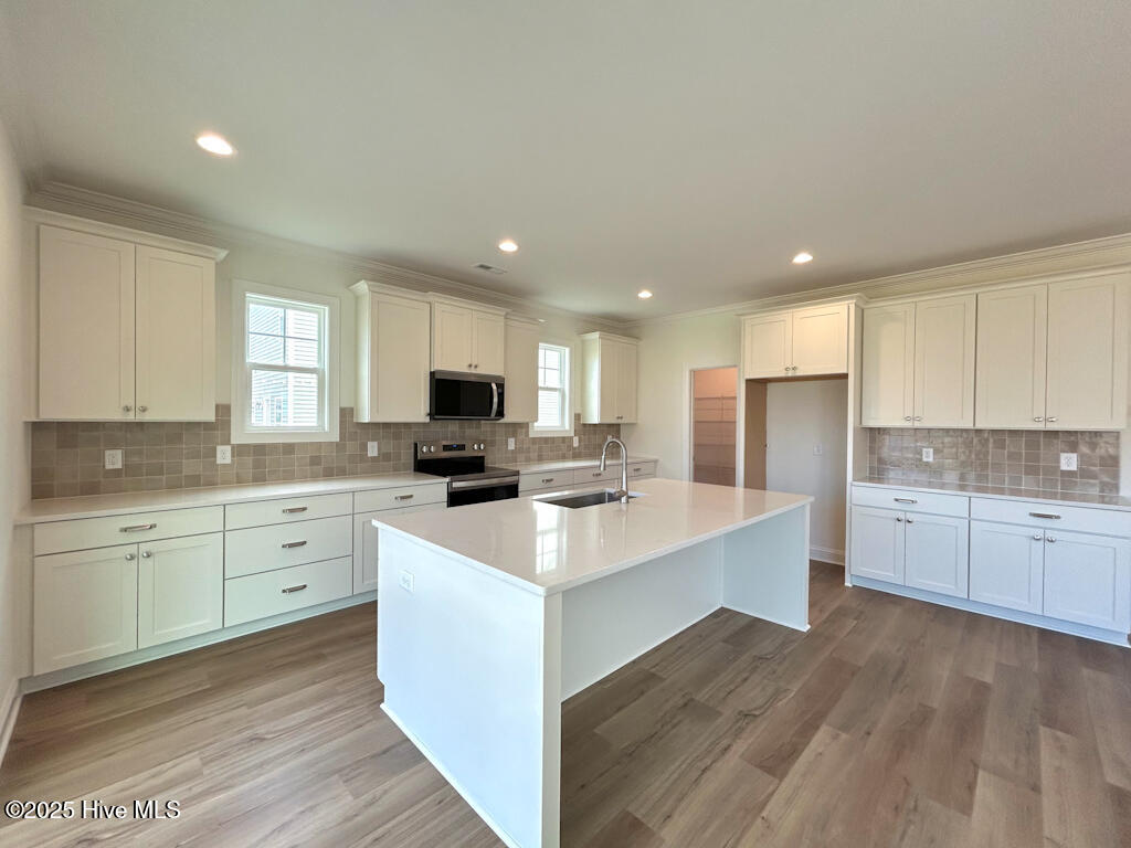 504 Yellow Birch Way Hubert, NC 28539 - Photo 34 of 81 IMG-9940-jpg