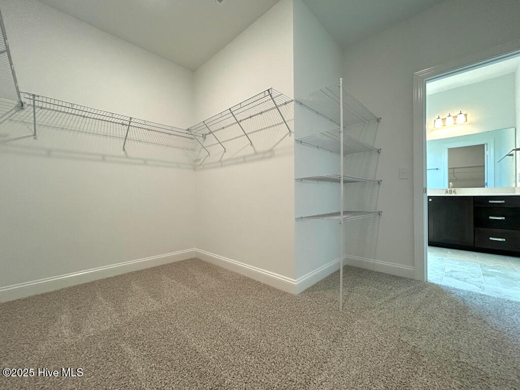 504 Yellow Birch Way Hubert, NC 28539 - Photo 66 of 81 IMG-9977-jpg