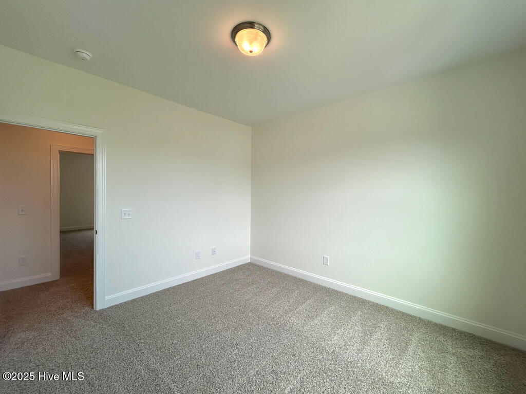 504 Yellow Birch Way Hubert, NC 28539 - Photo 75 of 81 IMG-9987-jpg