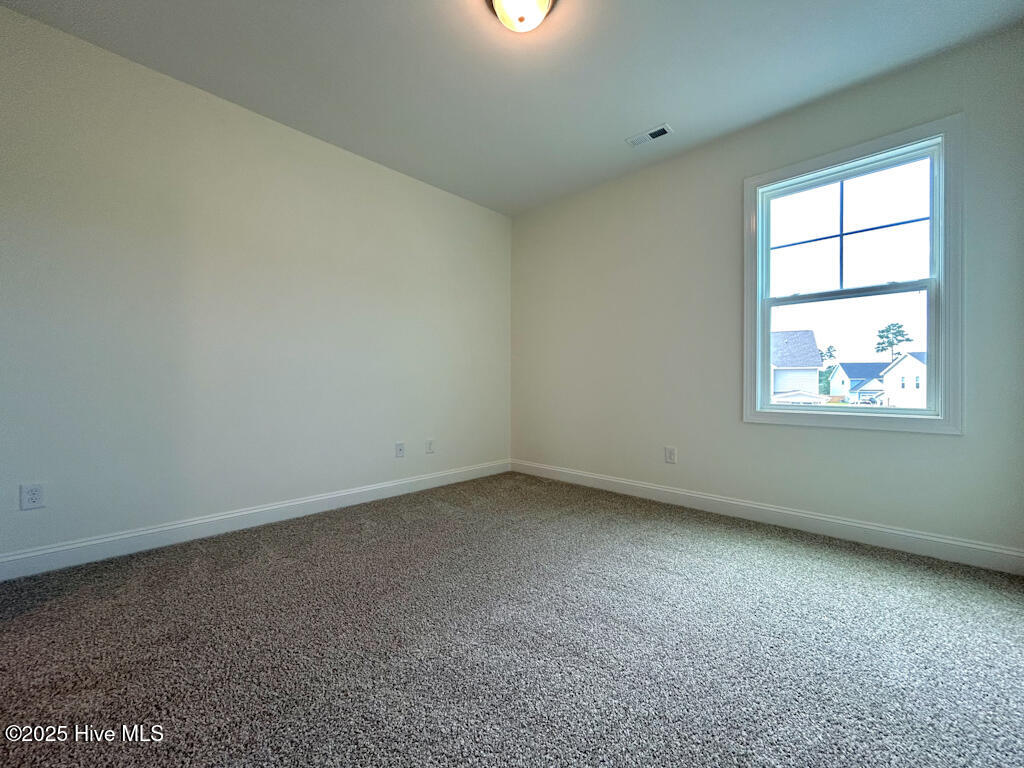 504 Yellow Birch Way Hubert, NC 28539 - Photo 81 of 81 IMG-9993-jpg