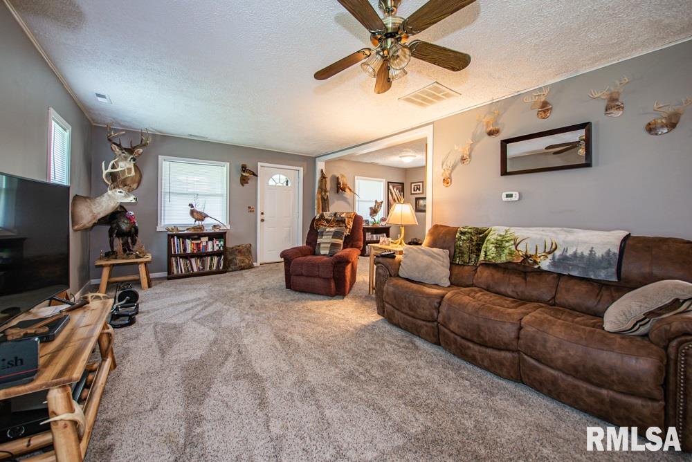 17926 East Franklin Road Ina, IL 62846 - Photo 8 of 32