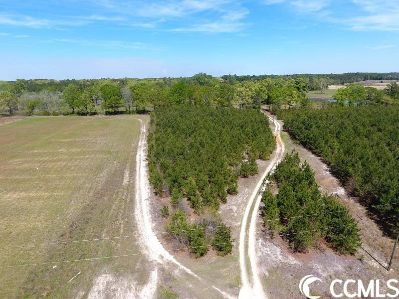 12 Lee Road Gibson, NC 28343 - Photo 3 of 3