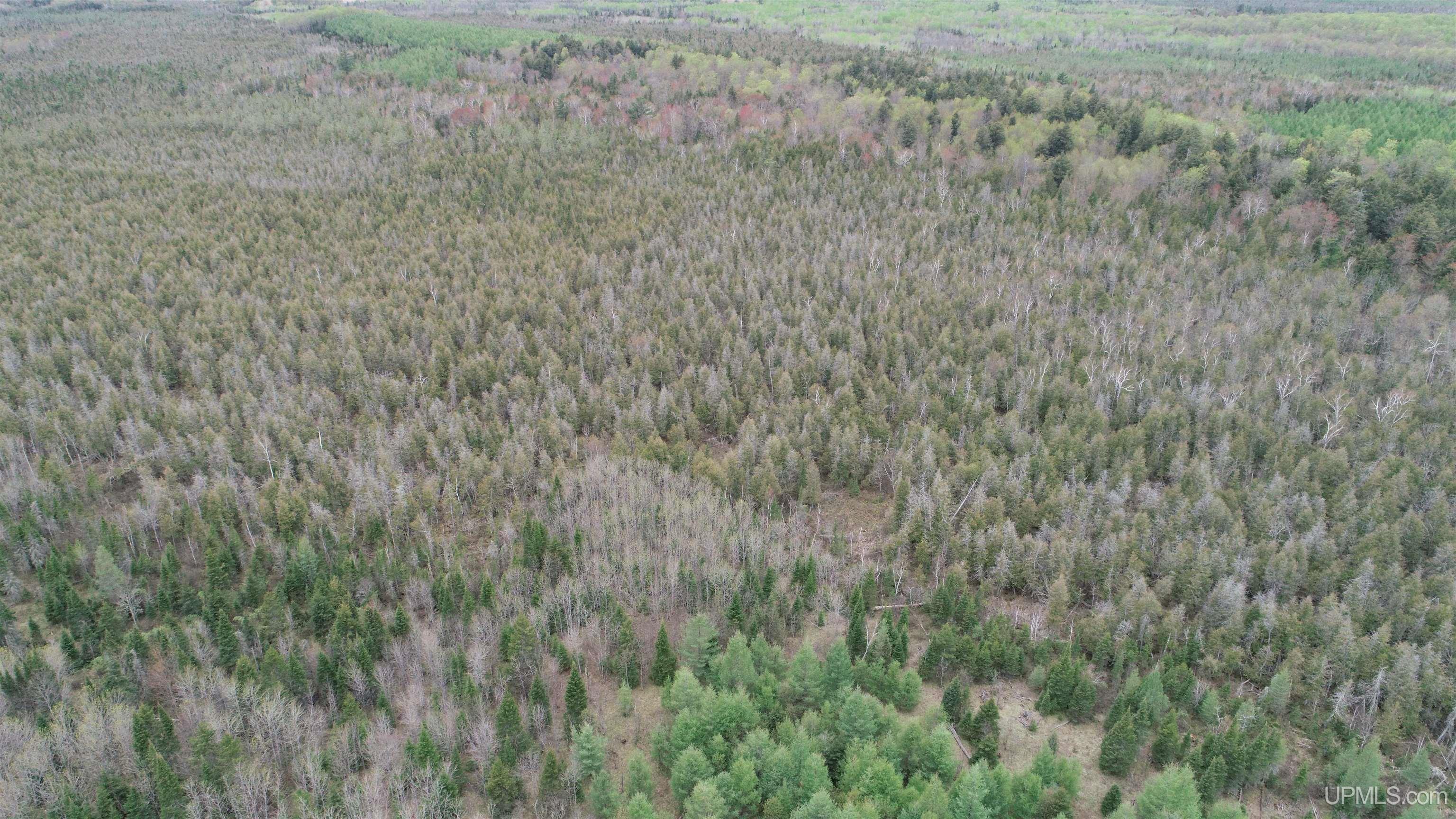 Tbd Vega Road Hermansville, MI 49847 - Photo 8 of 19