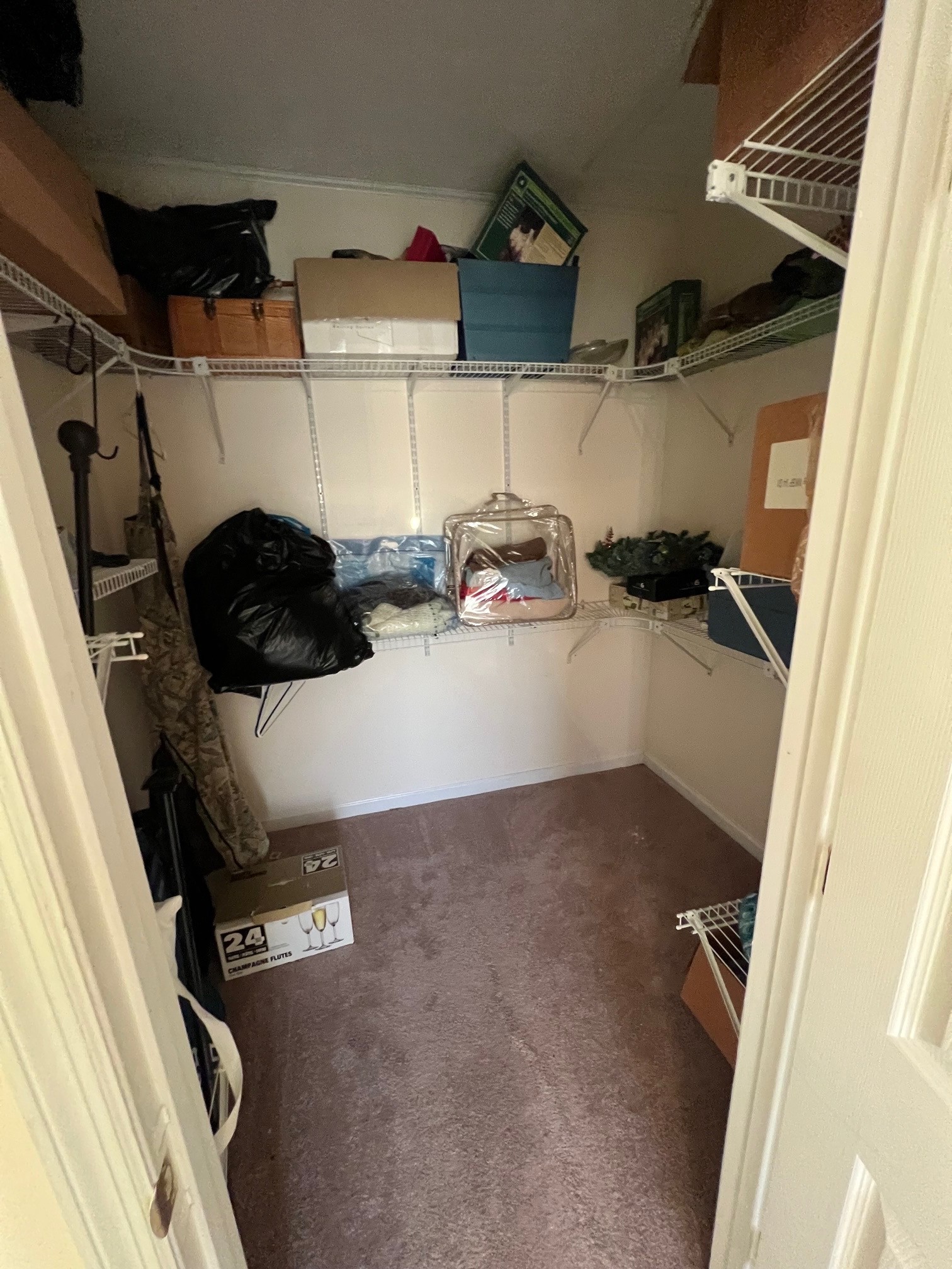 1058 Halls Mill Road Unionville, TN 37180 - Photo 12 of 32 a view of walk in closet with clothes and shoes