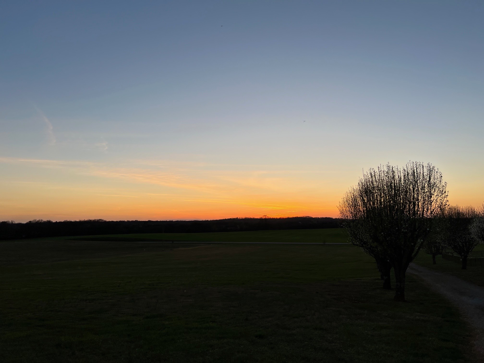 1058 Halls Mill Road Unionville, TN 37180 - Photo 18 of 32 a view of sunset
