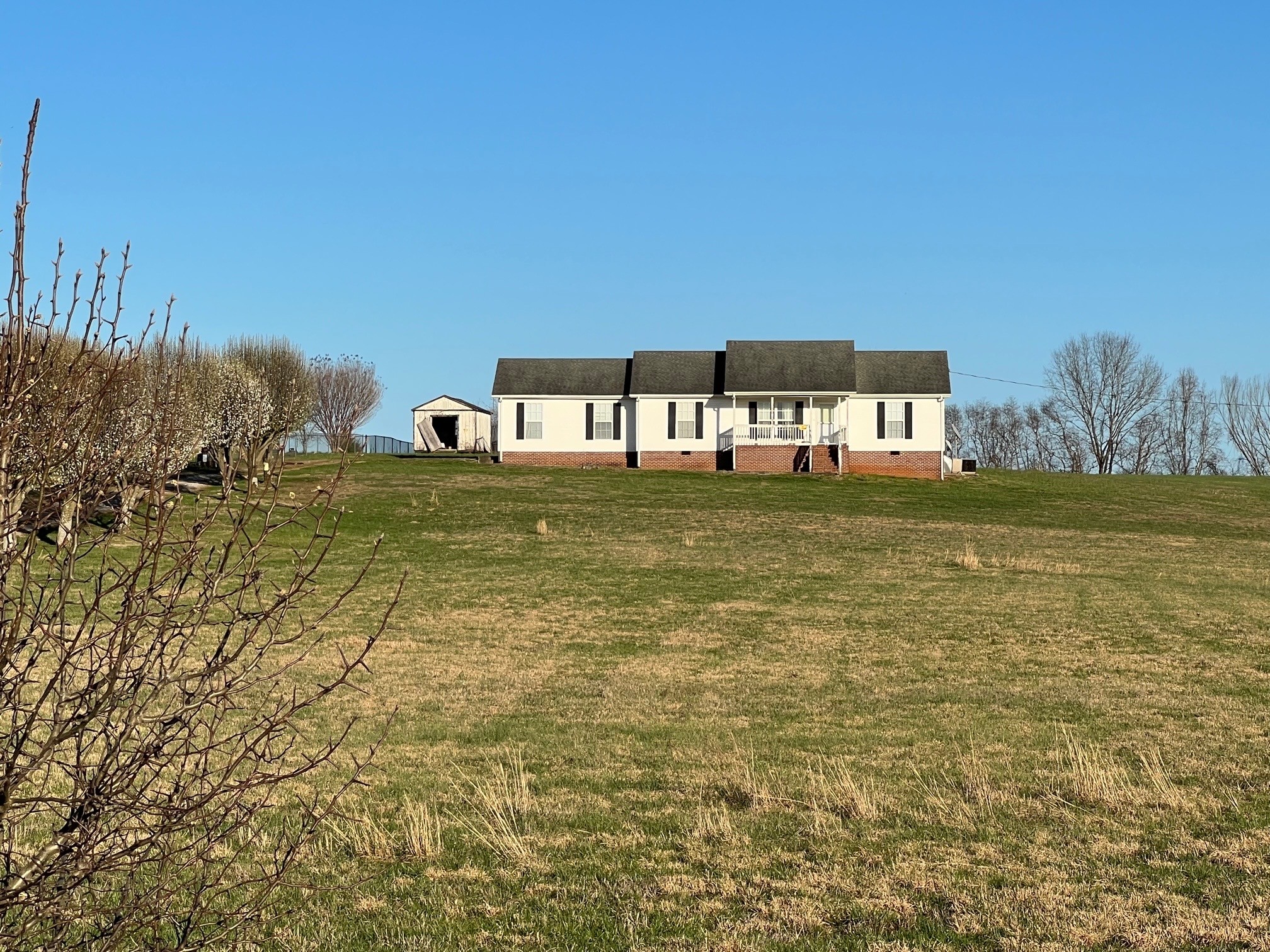 1058 Halls Mill Road Unionville, TN 37180 - Photo 2 of 32 a view of ocean with yard