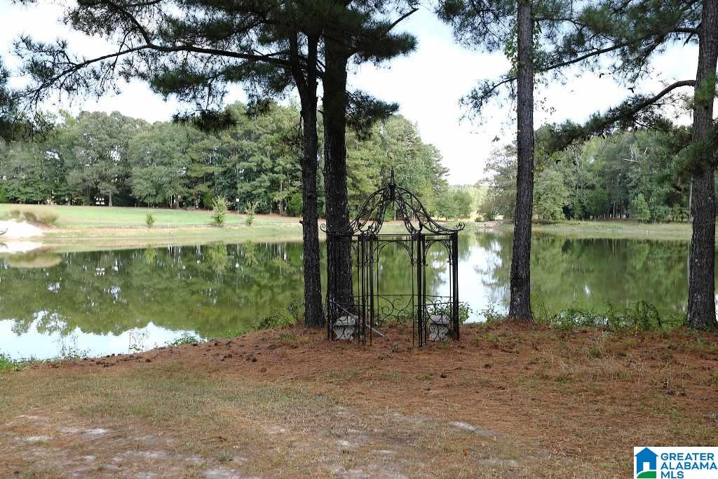 2307 County Road 46 Montevallo, AL 35115 - Photo 40 of 45