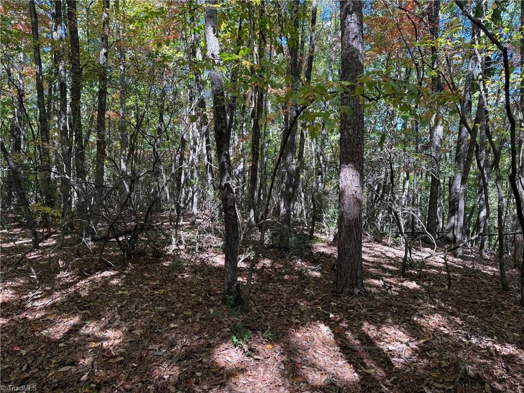 Tbd Tbd Royall Road Thurmond, NC 28683 - Photo 3 of 6