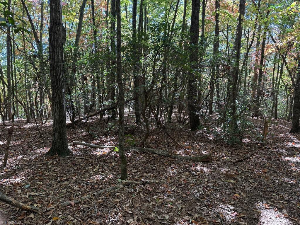 Tbd Tbd Royall Road Thurmond, NC 28683 - Photo 4 of 6