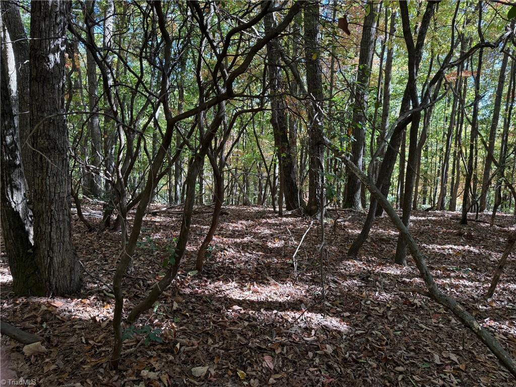 Tbd Tbd Royall Road Thurmond, NC 28683 - Photo 5 of 6