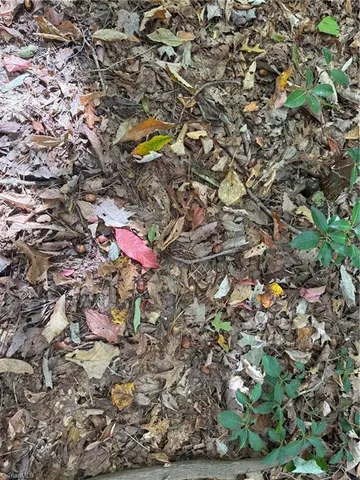 $88,000 | Tbd Tbd Royall Road, Thurmond, NC 28683