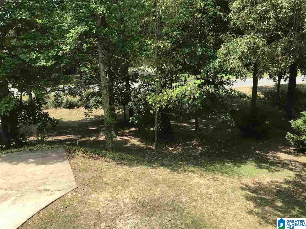 332 Deer Ridge Lane Chelsea, AL 35043 - Photo 33 of 39