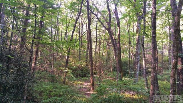 14 Southeast Ridge Road Cashiers, NC 28717 - Photo 1 of 1 Gallery Image 1