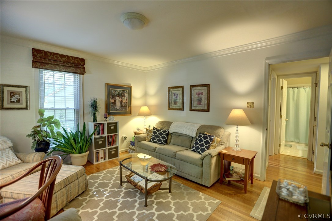13301 Court Ridge Road Midlothian, VA 23112 - Photo 11 of 24 a living room with furniture and a potted plant