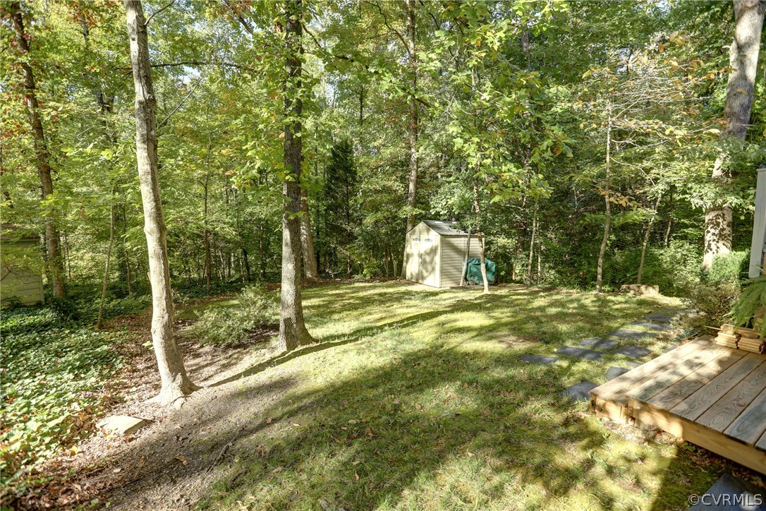 13301 Court Ridge Road Midlothian, VA 23112 - Photo 23 of 24 a view of a yard with plants and large trees